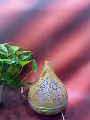 Humidifier