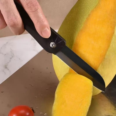 Fruit knife